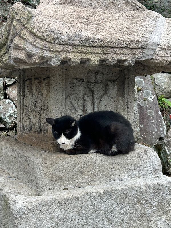 日本・大分県「家族旅行」の写真