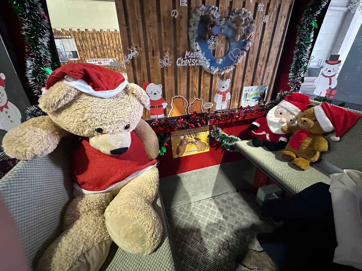 登別
クマ牧場のクマは可愛い&大迫力
ゴンドラもクリスマス仕様
地獄谷はた...