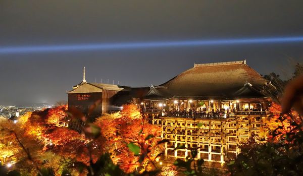 日本・京都府「紅葉」の写真