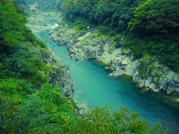 日本・徳島県「四国1周旅行」の写真：大歩危小歩危