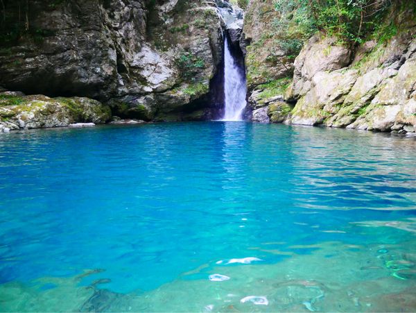日本・徳島県「四国1周旅行」の写真：にこ淵