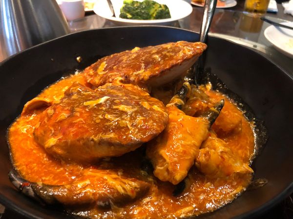 シンガポール・オーチャード「シンガポール旅行」の写真