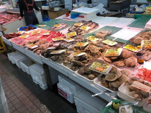 日本「青森旅行」の写真