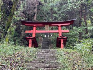 新府城、藤村記念館、要害山城、武田神社

いっぺんに回るのはなかなか大変でした。