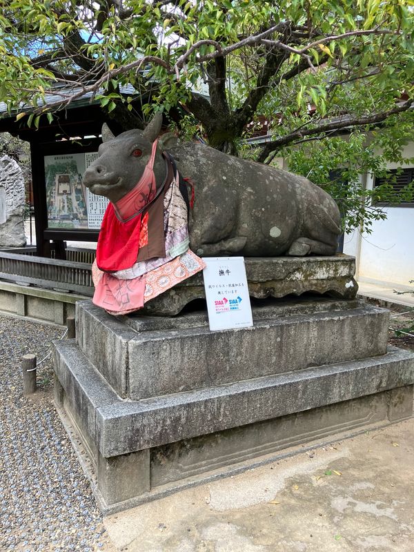 日本・京都府「京都神社仏閣巡り」の写真：北野天満宮2