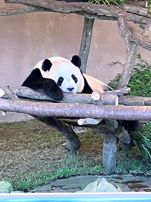 「和歌山」の写真