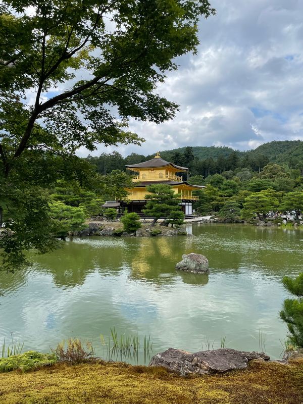 日本・京都府「23年夏金閣」の写真