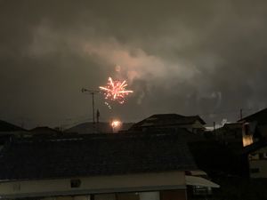 この時期の花火大会‼️