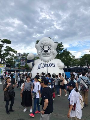 初めての西武の本拠地球場。
まだメットライフだった頃。
19年6月頃