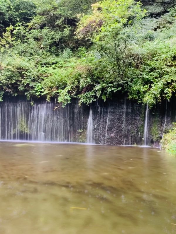 日本・長野県「娘の旅立ち記念旅行」の写真：長女、次女が大きくなってから始めての女旅...