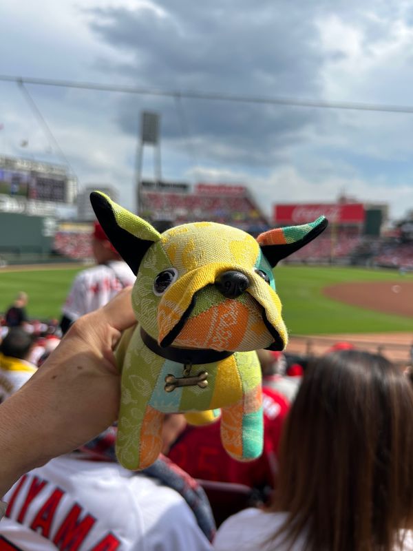 日本・広島県「広島野球観戦⚾️」の写真：２日目もズムスタ🏟️へ

私の隣に座って...