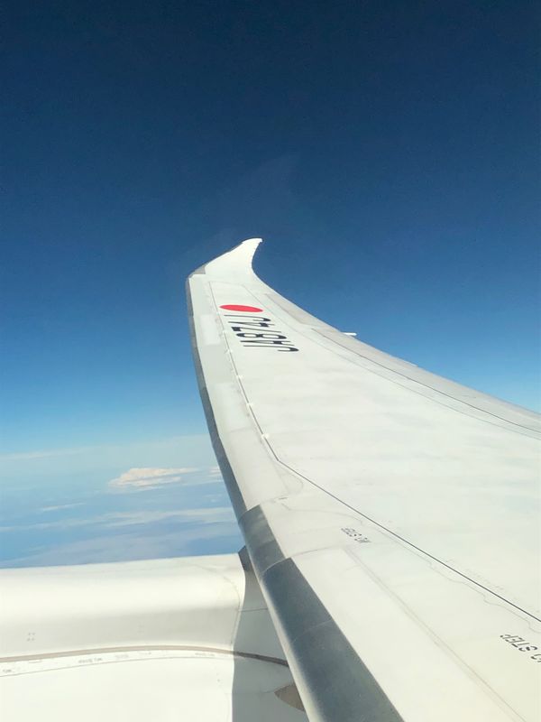 台湾・台北「2023.10TSA台湾鐵路旅遊」の写真：着きました
松山機場