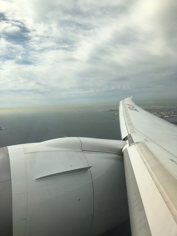 台湾・台北「2023.10TSA台湾鐵路旅遊」の写真：飛びます飛びます❣️
ミナトのヨーコヨコ...