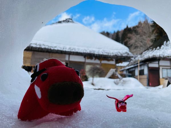 「福島旅行（1回目）」の写真