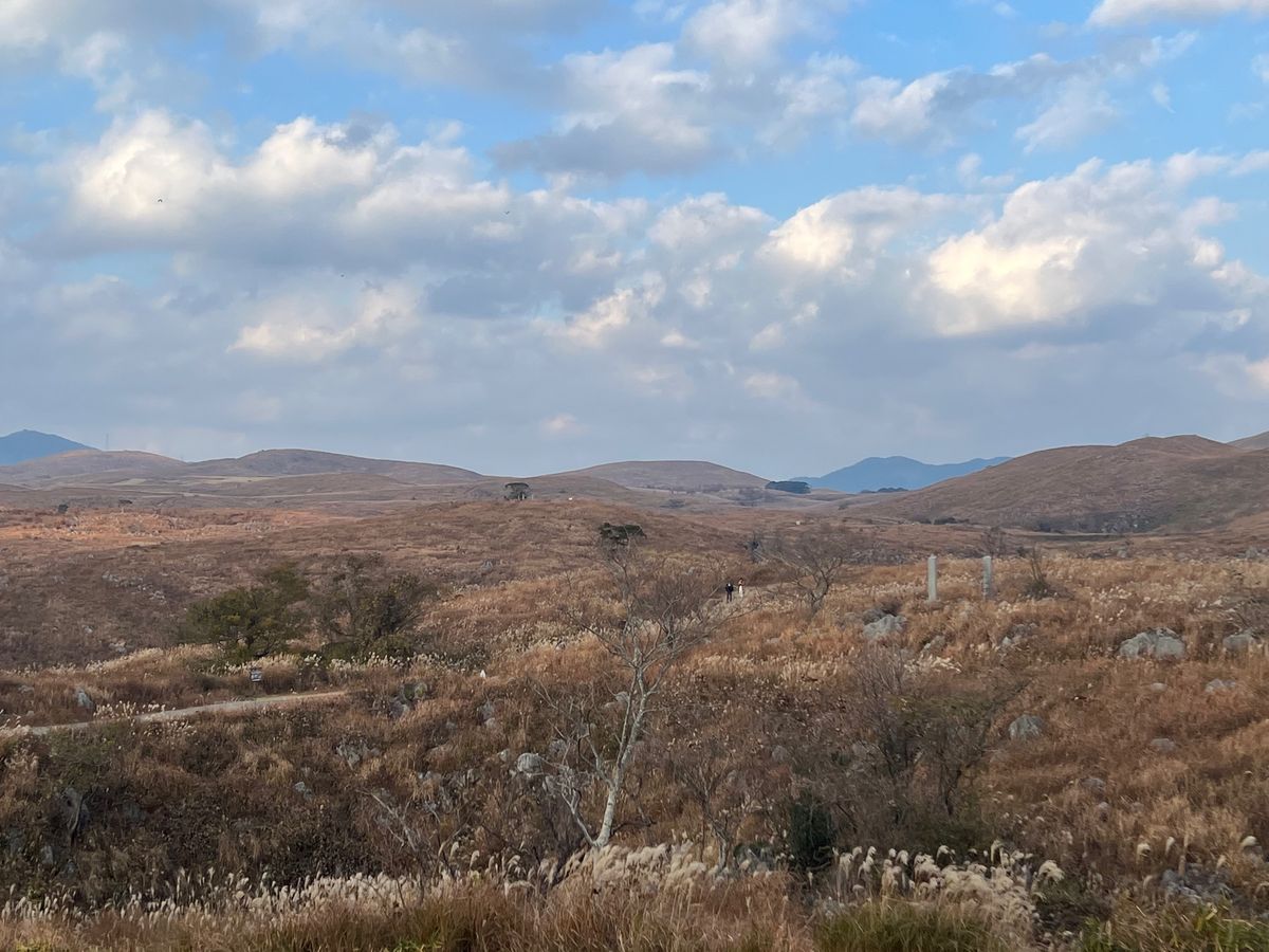山口県萩市
●毛利輝元公の墓所
●萩博物館
山口県美祢市
●秋吉台
山口県...