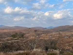 山口県萩市
●毛利輝元公の墓所
●萩博物館
山口県美祢市
●秋吉台
山口県...