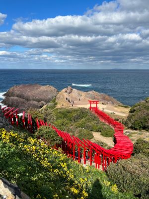 山口県長門市
元乃隅神社
●元乃隅神社　遠景
●突端から見える風景
●海側...