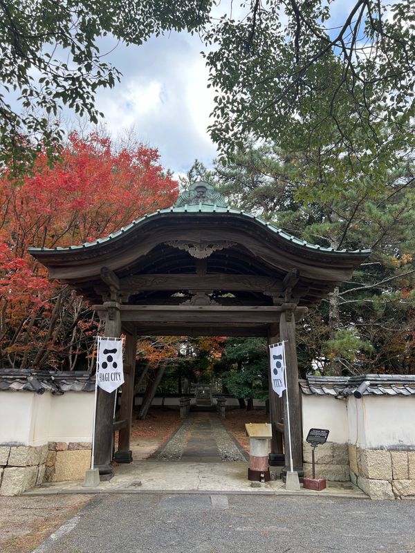 日本・山口県「元乃隅神社と世界遺産を巡る旅」の写真：山口県萩市
●毛利輝元公の墓所
●萩博物...