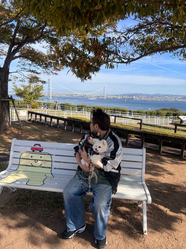 日本・香川県「香川旅行」の写真：橋がきれいに見えました