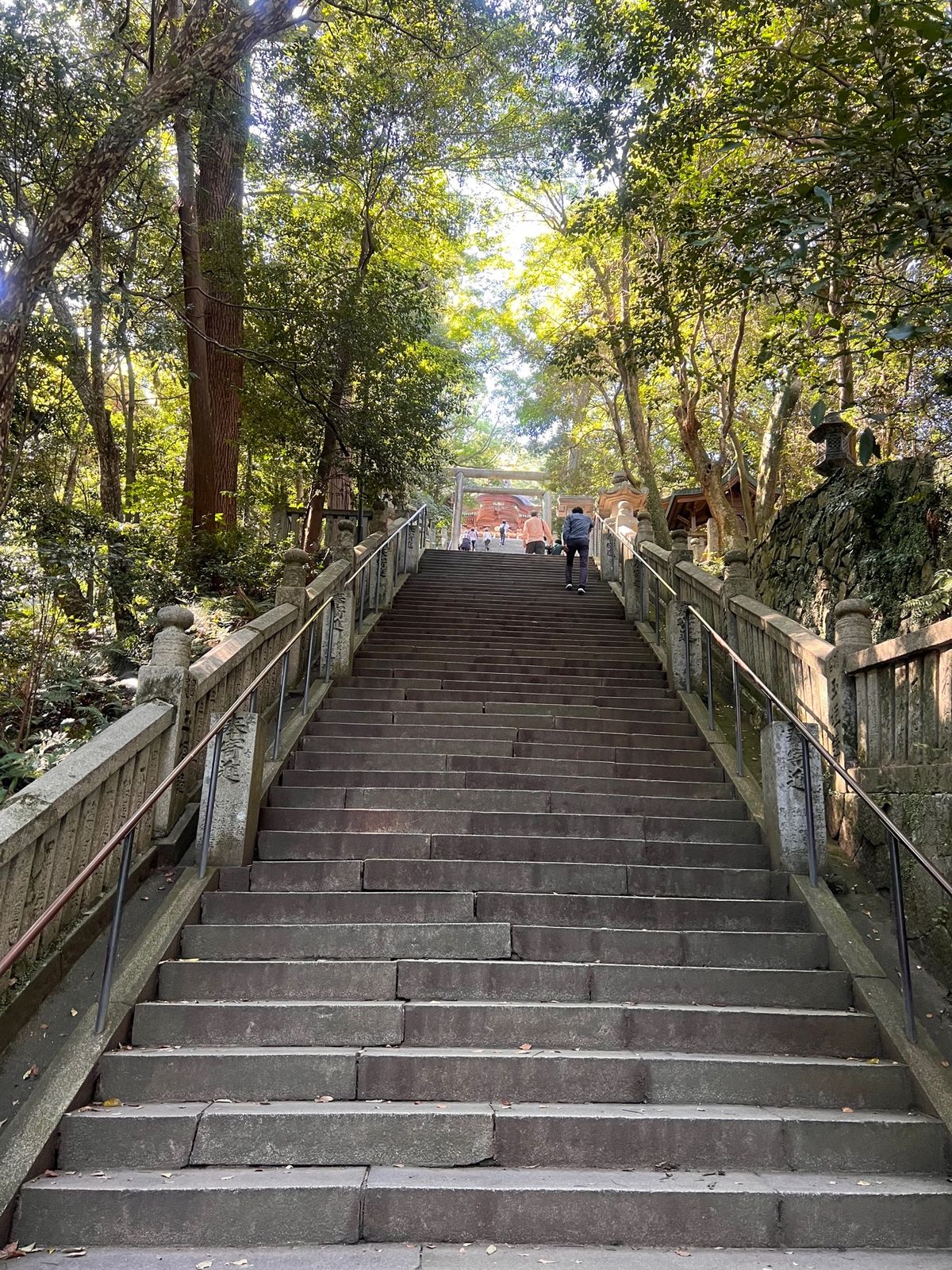 785段の階段を登りました
疲れました😵
