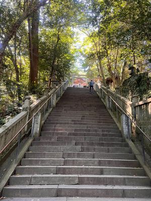 785段の階段を登りました
疲れました😵