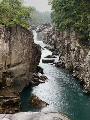 厳美渓から須川高原温泉へ。
紅葉がベストシーズン。お湯はとろみ。
絶景の露...