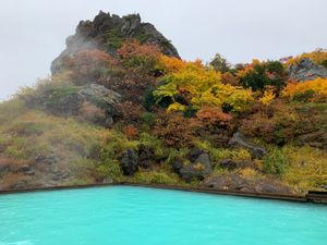 厳美渓から須川高原温泉へ。
紅葉がベストシーズン。お湯はとろみ。
絶景の露...