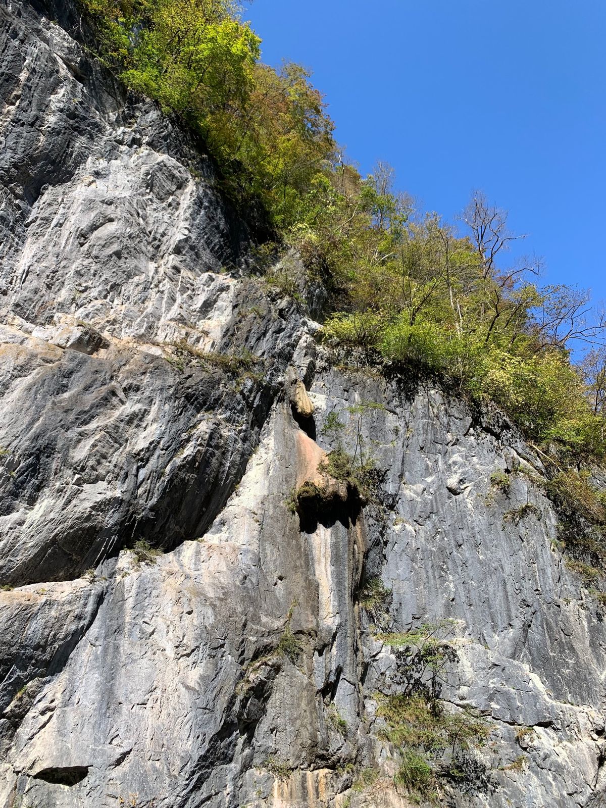 猊鼻渓、舟下り。
鏡のような水面。犬も同乗できて嬉しかった💕