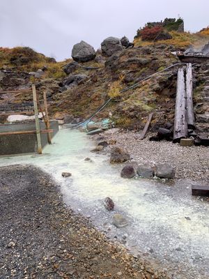 厳美渓から須川高原温泉へ。
紅葉がベストシーズン。お湯はとろみ。
絶景の露...