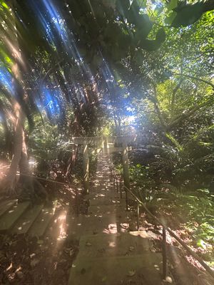 小浜島サイクリングしてきました。
2時間じゃ回りきれませんでした。
アップ...