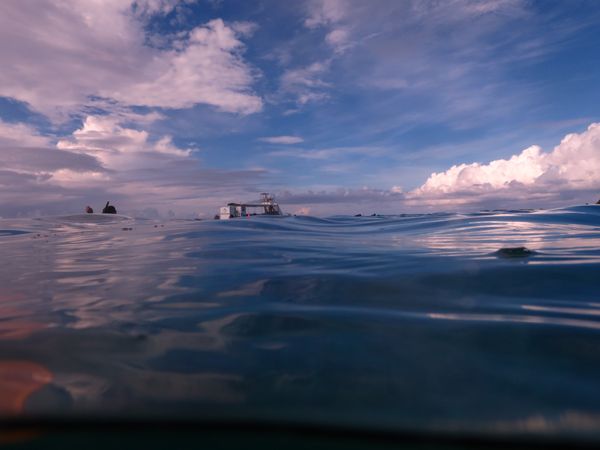 日本・沖縄県「小浜島旅行」の写真：幻の島上陸とシュノーケルツアー
気持ちよ...