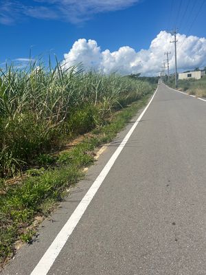 小浜島サイクリングしてきました。
2時間じゃ回りきれませんでした。
アップ...