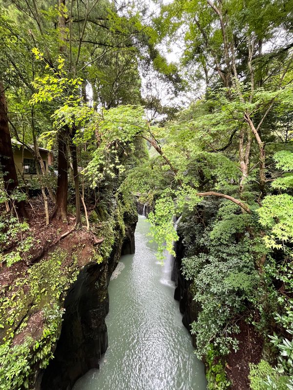 日本「宮崎　シェラトン」の写真