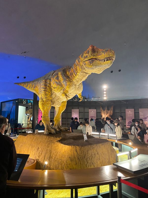 日本・福井県「福井県」の写真