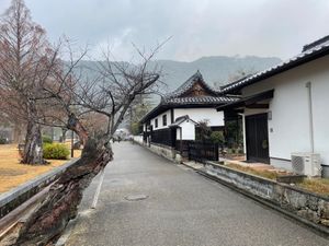 吉香公園の周囲には古い武家屋敷がいくつかあるのですが、残念ながら年末は休館...