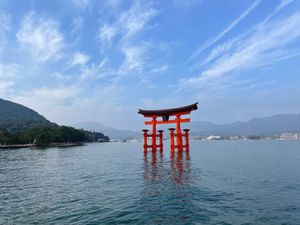 世界遺産登録されている厳島神社。赤い大鳥居は一年ほど前に新しくなったばかり...