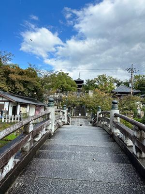 仁和寺→金戒光明寺
アフロ大仏様が見たくて❤︎