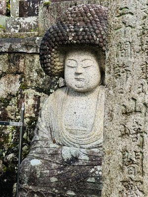 仁和寺→金戒光明寺
アフロ大仏様が見たくて❤︎