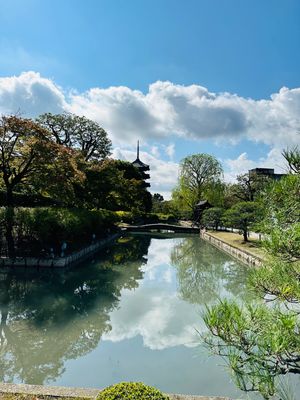 徒歩で粟嶋堂宗徳寺→東寺に参拝してきました。