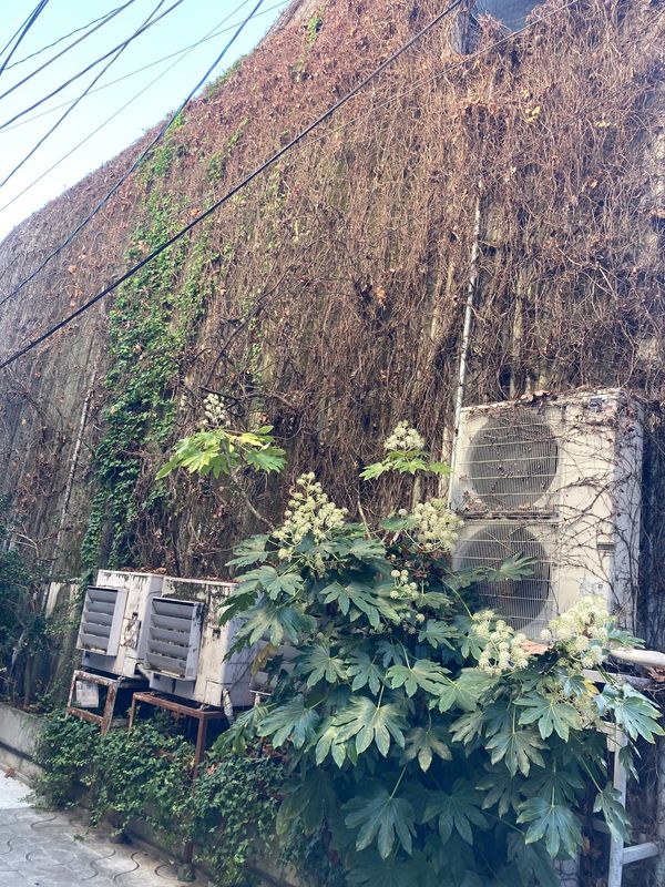 日本・京都府「京都」の写真