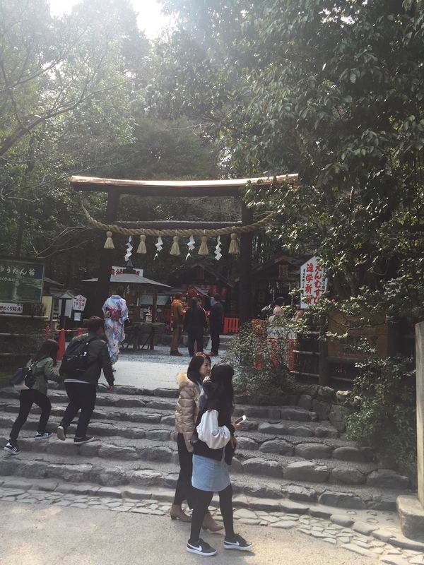 日本・京都府「京都」の写真