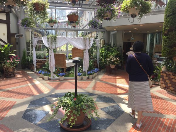 日本・兵庫県「神戸」の写真