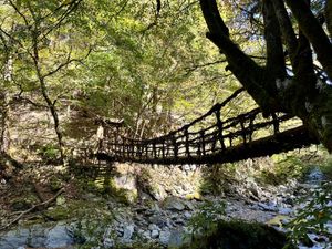 奥祖谷二重かずら橋