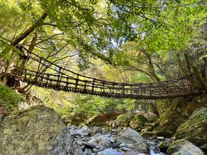 奥祖谷二重かずら橋