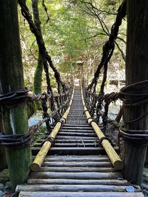 奥祖谷二重かずら橋