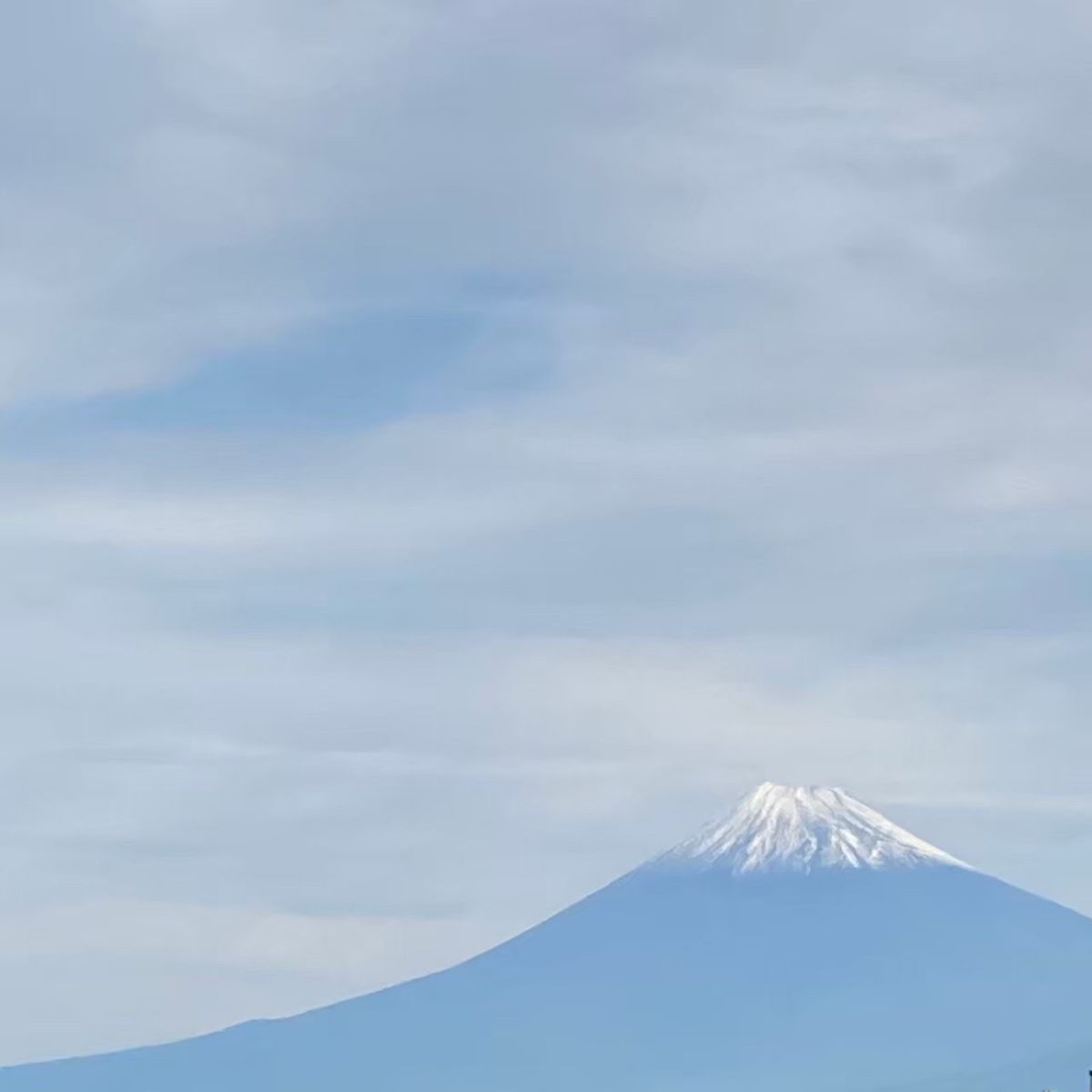 伊豆三津シーパラダイスのイルカはファンサもばっちり👍
可愛かった〜♡
何気...