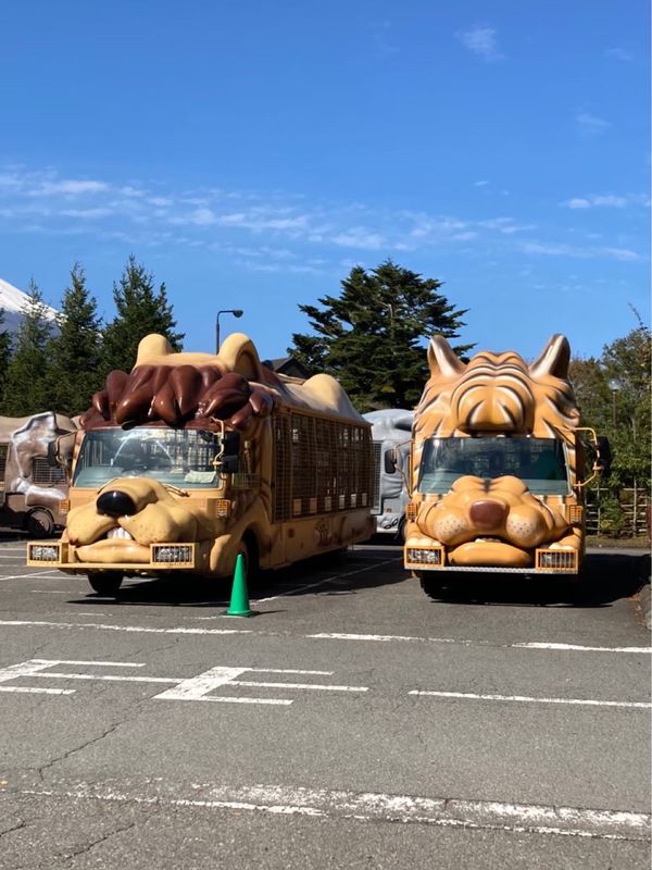 日本・富士サファリパーク「静岡高足がに旅行」の写真：富士サファリパーク🦁
餌やり、迫力あって...