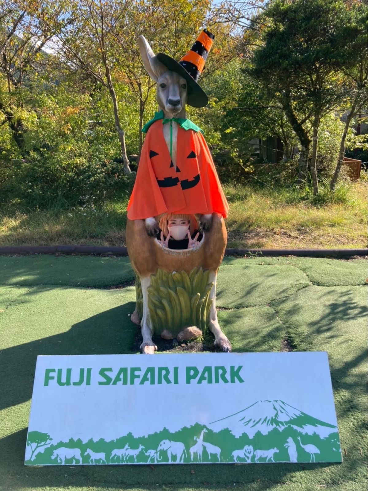 富士サファリパーク🦁
餌やり、迫力あって楽しかった！
ちょっと怖かったけど😂