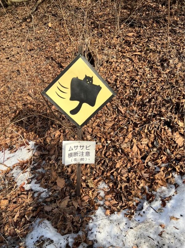 日本・軽井沢「卒業旅行in軽井沢」の写真