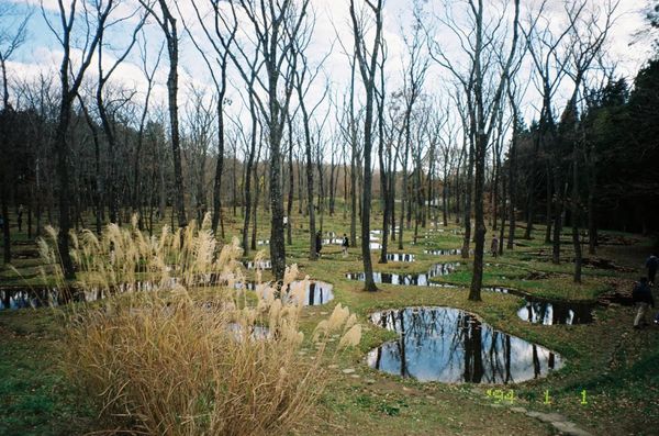 日本・那須「女子5人旅in那須」の写真
